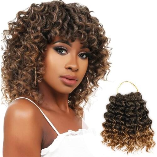 Ocean Water Wave African Curls Crochet Braid Hair Extensions Synthetic Afro Curly Braiding Strands Braided Hair