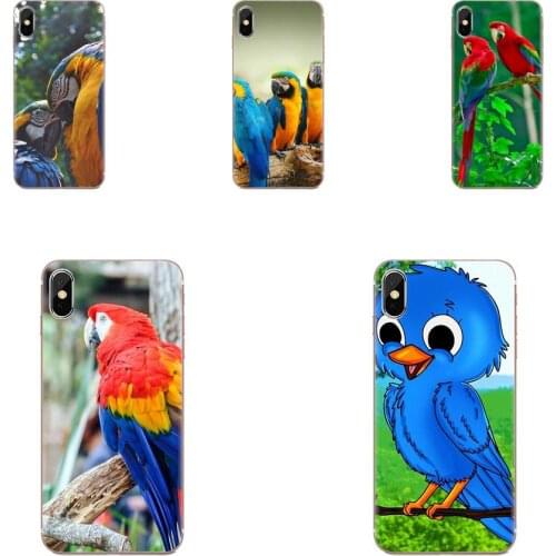 Anime Birds Parrot Wallpaper For Huawei Honor 10 10i 20 20i 8S lite Y9 Prime Y7 2019 Y5 2018 p40 lite pro TPU Live Love Phone