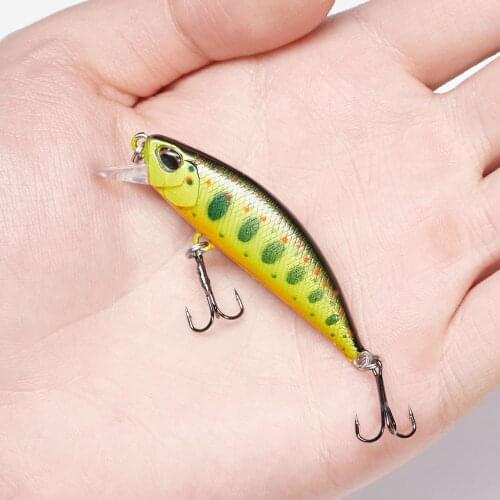 5g 55mm Wobblers Fishing Lure Minnow Pesca Fishing Lures Japan Bait Artificial Trout Carp Hard Bait Pesca Sinking Jerkbait DW63