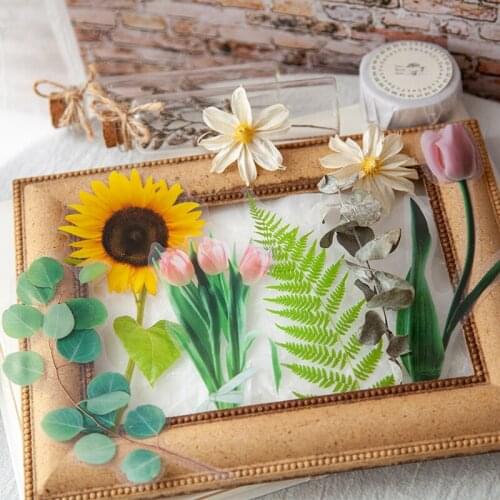 XINAHER 8 pcs/bag Vintage Chamomile Eucalyptus Leaf PET sticker DIY diary Journal decoration sticker album scrapbooking