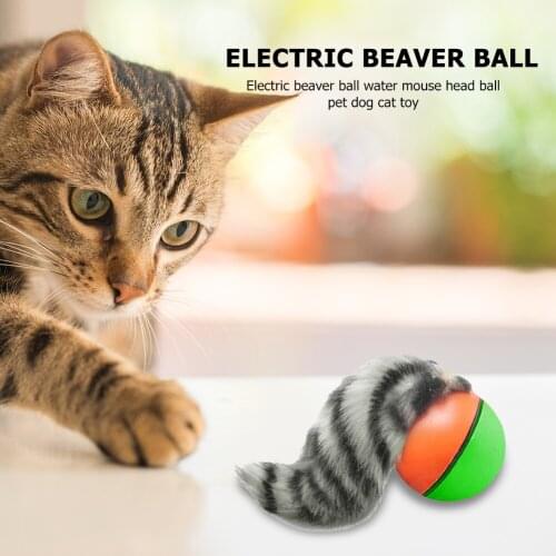 Funny Pet Dog Puppy Cat Motorized Rolling Ball With Electric Beaver Weasel Appears Jump Chasing Toy