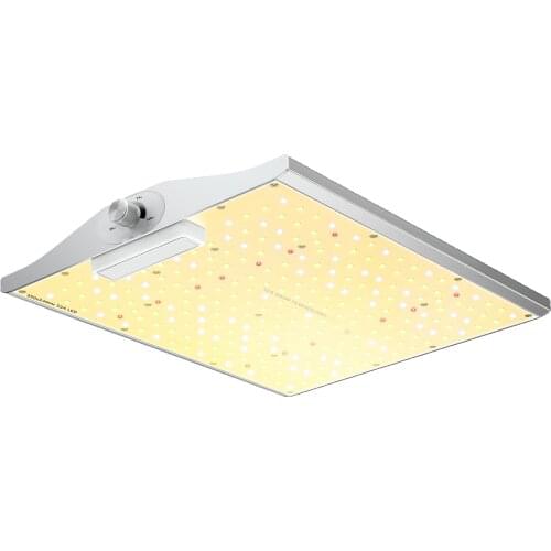 ZFR Lighting