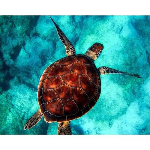 Turtle sea Swimming Animal DIY Digital Painting By Numbers Modern Wall Art Oil Painting Holiday Gift Home Decor Big Size