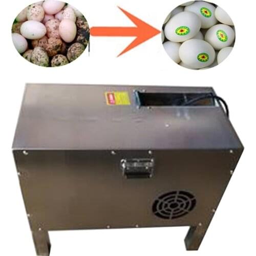 HotSale Good Quality Automatic Cheap Poultry Farm Equipment 2300 Pcs/h Chicken Duck Goose Egg Washing Cleaning Machine Washer