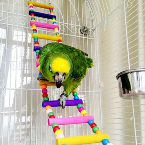 Parrot Climbing Ladder Natural Wooden Swing Bridge Bird Cage Hanging Toy Colorful Balls for Conures Cockatiel Budgie NW