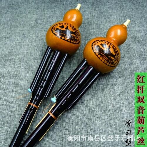 Beginner natural dual tone Aristolochia ringens cucurbit flute pyrography cucurbit flute