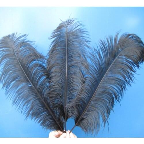 Wholesale beautiful black ostrich feathers 50pcs 18~20 inches / 45-50 cm Weddings & Celebrations feathers