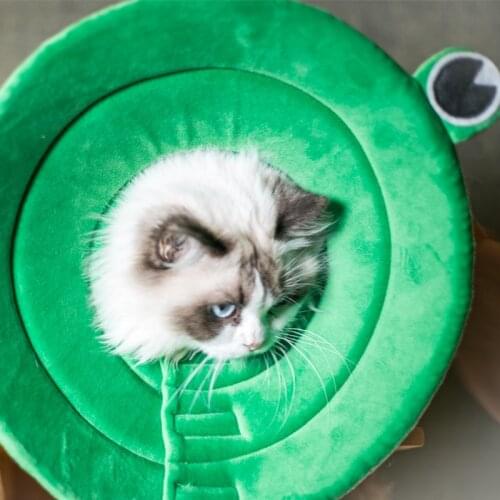 Pet Protective Collar Animal Frog Elizabeth Cat Dog Collar Anti-grab Bite Anti-skull Fitting Pet Grooming Protective Cover