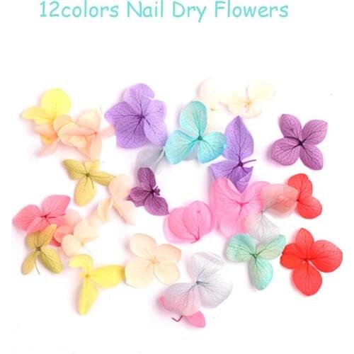 12 Boxes/set Dry Flowers 2pcs Nail Decals DIY Green/Azure/Grey/Pink/Purple 3 PETALS NO Water BloSSOm Nailarts Decoration #zcf04