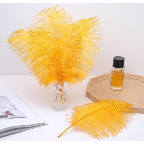10pcs/lot Dyed Colorful Natural Ostrich Feather 25-30cm/10-12 inch DIY Wedding Party Decoration Party Accessories plume