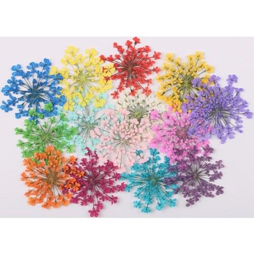 Natural Dried Flower Pressed Dried Ammi Majus Flower For Epoxy Resin Pendant Necklace Artificiales Home Decor Wedding Decoration