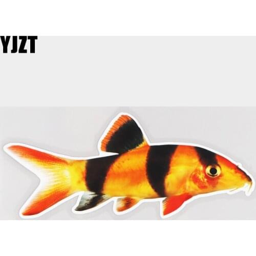YJZT 19×7.9CM Catfish Animal Vinyl Decals Creative Body Decoration Accessories Car Stickers 21A-0722