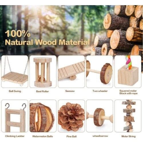 10pcs/set Wooden Hamster Chew Toy Rat Guinea Pig Chinchilla Unicycle Seesaw