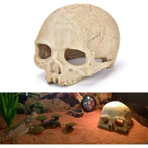 Fish Tank Aquarium Landscape Decoration Scorpion Palace Keeping Spider Lizard Snake Python Skull Reproduction House