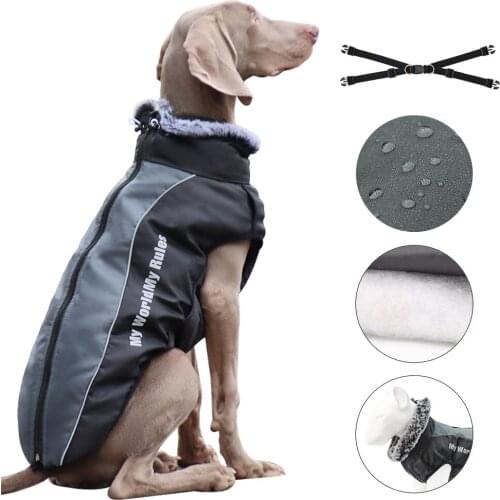 Pet Dog Clothes Waterproof Big Dog Coat Winter Warm Outdoor Dog Jackets With Velvet Medium Large Dogs Walking Harness Clothing