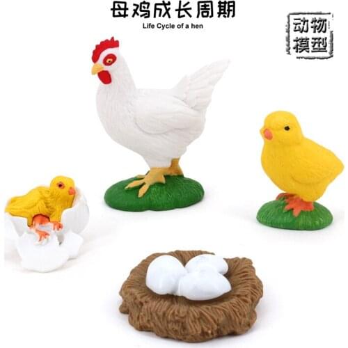 Montessori Scientology Teach Cognitive Toys Simulation Farm Animal Model Chick Growth Cycle Series Posing Childrens Puzzle Toys