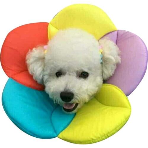 NACOCO Pet E-Collar Elizabethan Collars Recovery Pet Cone for Cats and Small Dogs Breathable Soft Edge and Easy to Clean