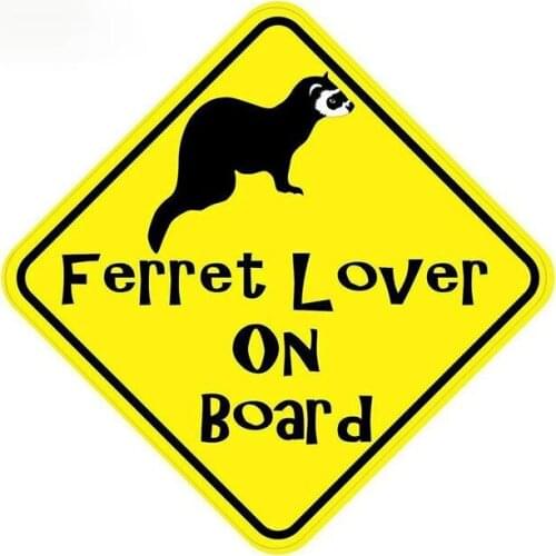 For Ferret Rodent Do You Have A Problem Car Stickers Windows Waterproof Decal Laptop Bumper Decoration13cm*12cm