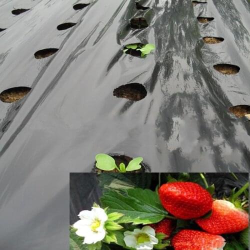 10M Black Agricultural Shade photomask Plastic Perforated PE Film vegetables Strawberry Plants Seeding Membrane Garden articles