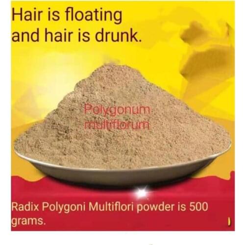 He Shou Wu Powder Black Been Polygonum Multiflorum Root Fo Ti100% Natural Health Improve Immunity Hair care hair loss preventi