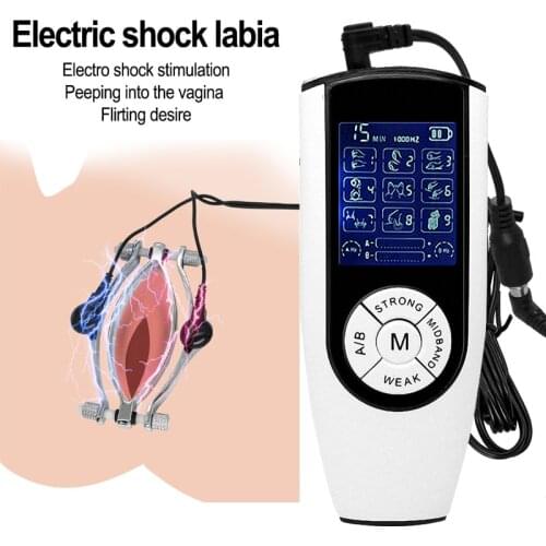 Electro Shock Torture Clitoris Lips Clamp Pussy Clamp,Labia Clip Vagina Opener Clitoral G-spot Stimulator Sex Toys For Women