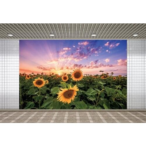 Lyavshi Sunflower Flower Sea Backdrop Newborn Wedding Family Party Decoration Photography Sunrise Background Photo Studio Props