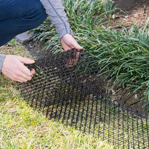Guard Bar Green Gardening Plastic Anti - Cat Thorn Cat Dog Mosquito Repellent Plastic Nail Garden Net