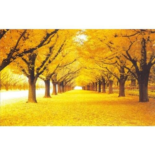 Gold Montreal photography The wooden puzzle 1000 pieces ersion paper jigsaw puzzle white card adult childrens educational toys