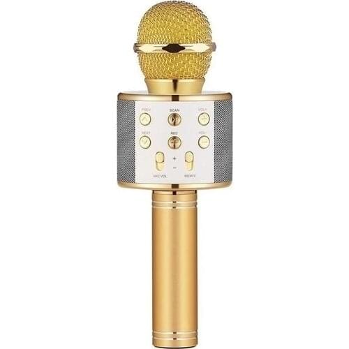 HERSEYSTORE Case 4U Karaoke Mikrofon Bluetooth Hoparlör Aux Usb Mikro Sd Kart Girişli Siyah