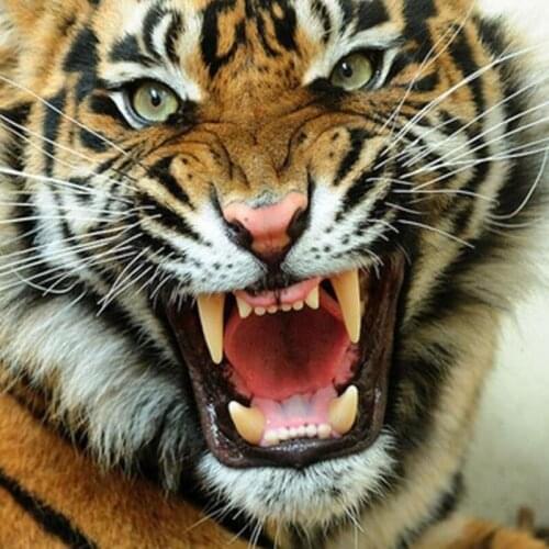 5D DIY Diamond Painting Cross Stitch Tiger Rhinestone Needlework Full Drill Resin Diamond Embroidery Mosaic Animal Home Decor