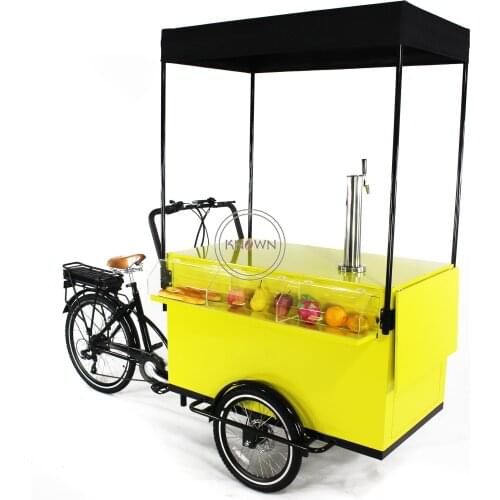 Three Wheel Mobile Food Vending Cart Outdoor Electric Cargo Bike Family Used coffee Cart ike