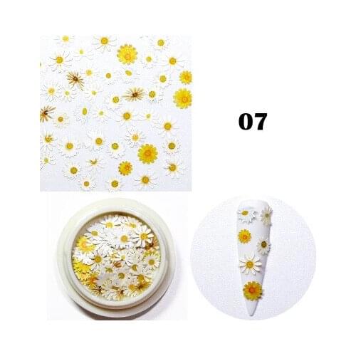 8 types Nail Dried Flowers Wood Pulp Sheet Mixed Nail Jewelry Patch 3d Nail Art Decorations Nails Accessoires