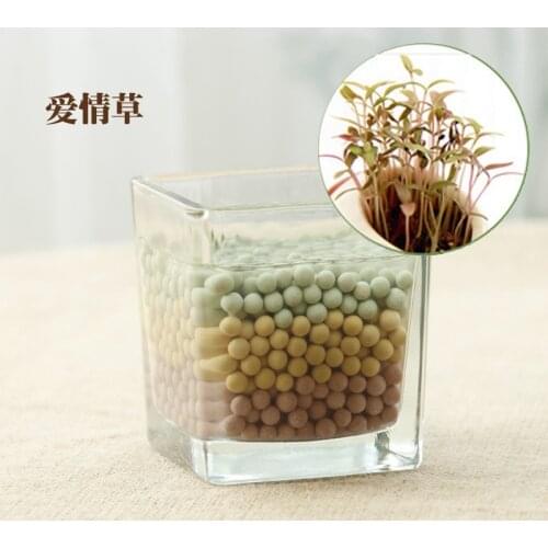 Manufacturers supply DIY creative mini potted plant small indoor hydroponic pot plants anion ceramic carbon ball