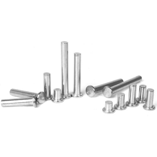 50/20pcs Stainless Steel Rivets Flat Head Solid Percussion Rivet Gb109 M8*8/10/12/14/16-45/50/55/60mm