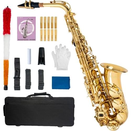 Eb Alto Saxophone Gold Lacquer Sax Music Instrument w/ Case Mouthpiece Cleaning Brush Cloth