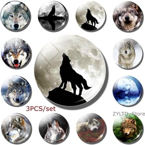 Wolf fridge magnet 3PCS set Glass cabochon refrigerator magnets animal stickers Refrigerator decoration message board Home Decor