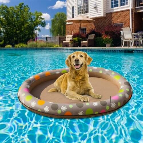 Cwaouoniy Products For Dogs