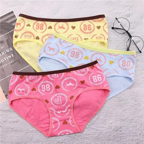2019 New Arrived Big Girl Underwear Kids Panties Cartoon Printing Girl Underpants Cotton 12-20yaer Young Girls Knickers Hs8599
