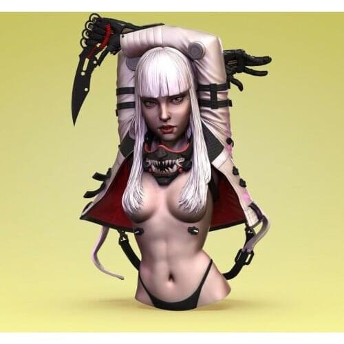 1/10 Resin Model Bust GK,Unassembled and unpainted kit