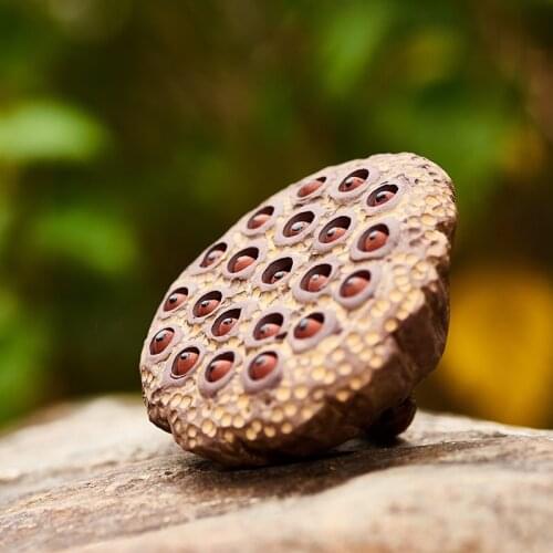 Tea pet lotus root tea play handicraft tea ceremony sculpture tea set spare parts
