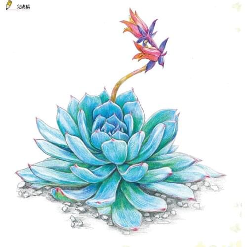 New Leaf Flesh Color Lead Plant Hand-painted Entry Description Drawing Books Classic Zero Foundation Children Adult Coloring Boo