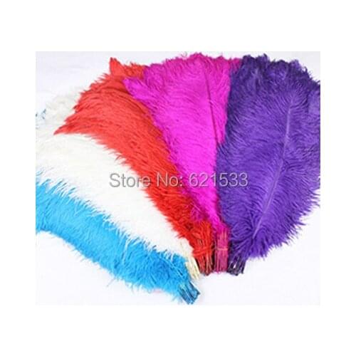 Wholesale!50pcs/lot! 22-24inch(55-60CM)Ostrich Feather Plume Turquoise,White,Red,Fushia,Purple freeshipping