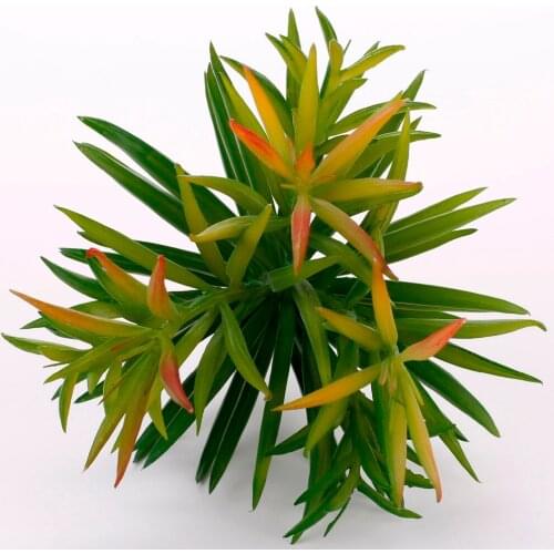 Artificial Dianthus Green plants artificial succulents fake plastic artificial plants planta wholesale artificial flower factory