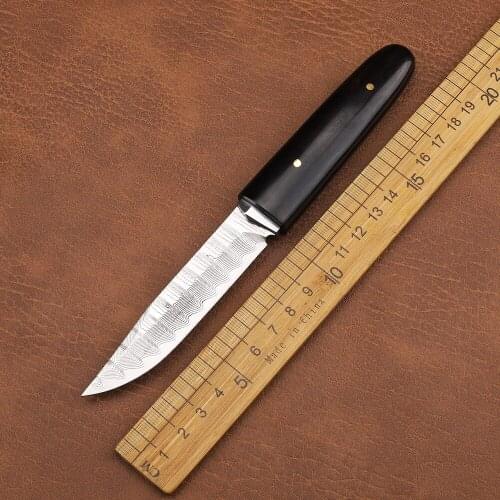 Damascus VG10 Steel 67 Layers Forged Ebony Handle Outdoor Tactical Camping Hunting EDC Collector Knife