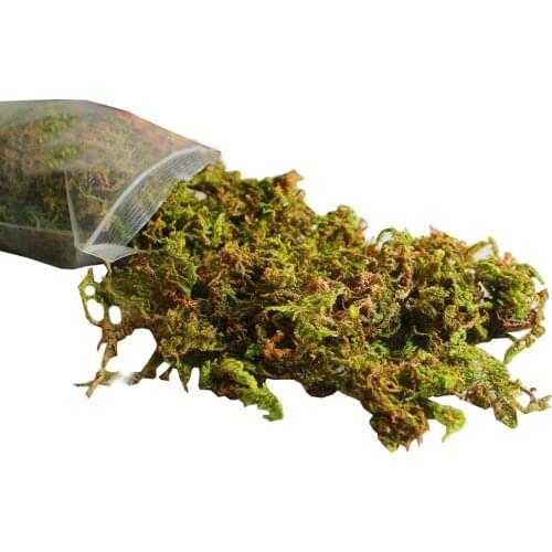 1 Pack Artificial Green Moss Creative Lifelike Fake Green Moss Artificial Plant DIY Bonsai Decoration Accessories Home Decor