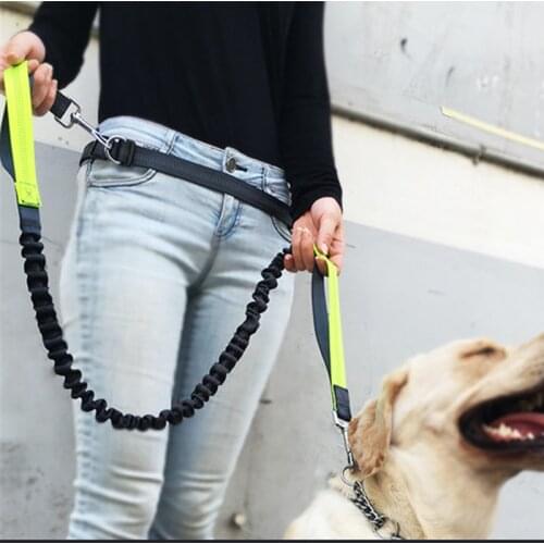 Dog Harness Walking Dogs Hands Free Leashes Stretch Dog Harness and Leash Set Dogs Walker Running Chain Pet Supplies Accessories