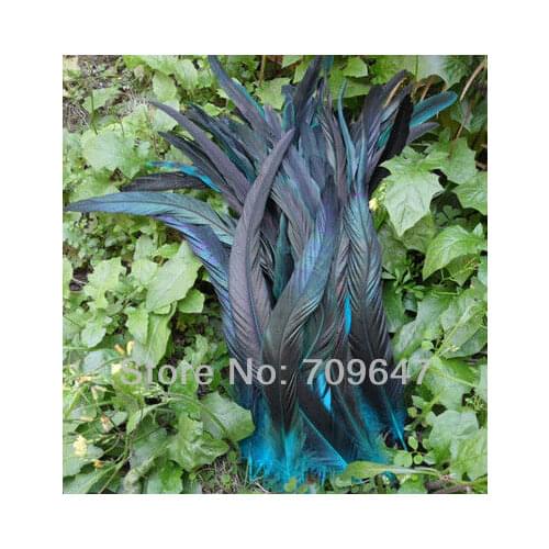 50 Pcs/Lot Dyed Sky Blue Rooster Coque Tails Loose Feathers 12 to 14 inches,Loose Rooster Tails,feathers for crafts