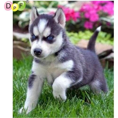 DPF DIY The dog 5D diamond mosaic full square diamond painting cross stitch crafts diamond embroidery home decor wall painting