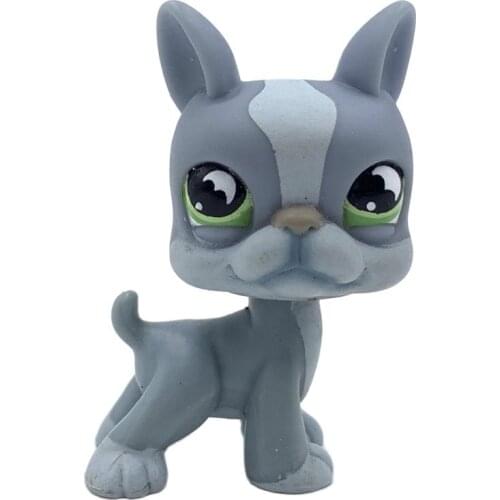 LPS CAT Old animal pet shop toys BOSTON TERRIER #1025 cute dog original anime figure lovely present for boys and gifts