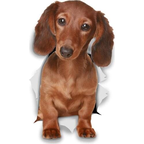 S50238# 13CM/15CM/17CM Personality PVC Decal Dachshund Waterproof Car Sticker on Motorcycle Laptop Decorative Accessories